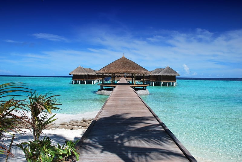 Luxury Vacation